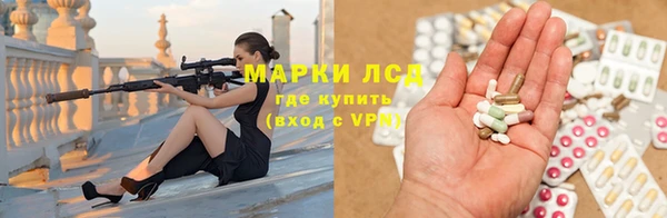 СК Медногорск