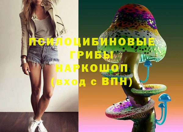 ALPHA PVP Медвежьегорск