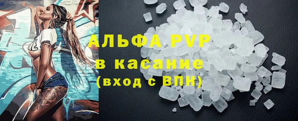 СК Медногорск