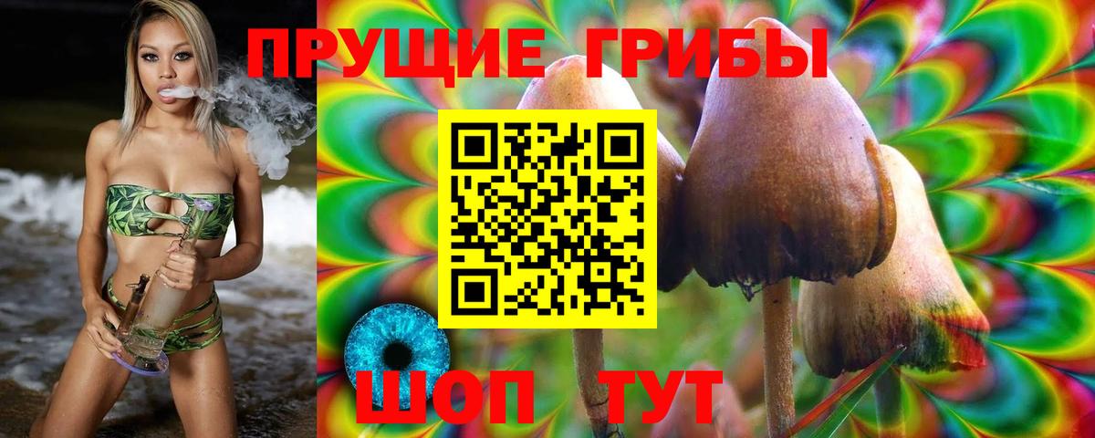 Кызыл  купить наркотики сайты  Вход с VPN  Псилоцибиновые грибы Cubensis 