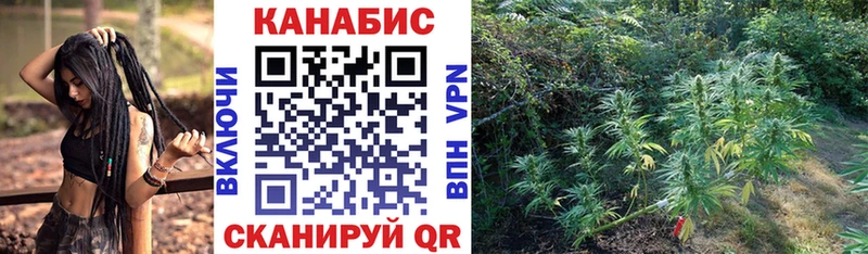 МАРИХУАНА THC 21%  Кызыл 